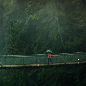 A person walking on a bridge with an umbrella